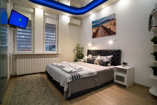 Dositej Spa Belgrade center apartment